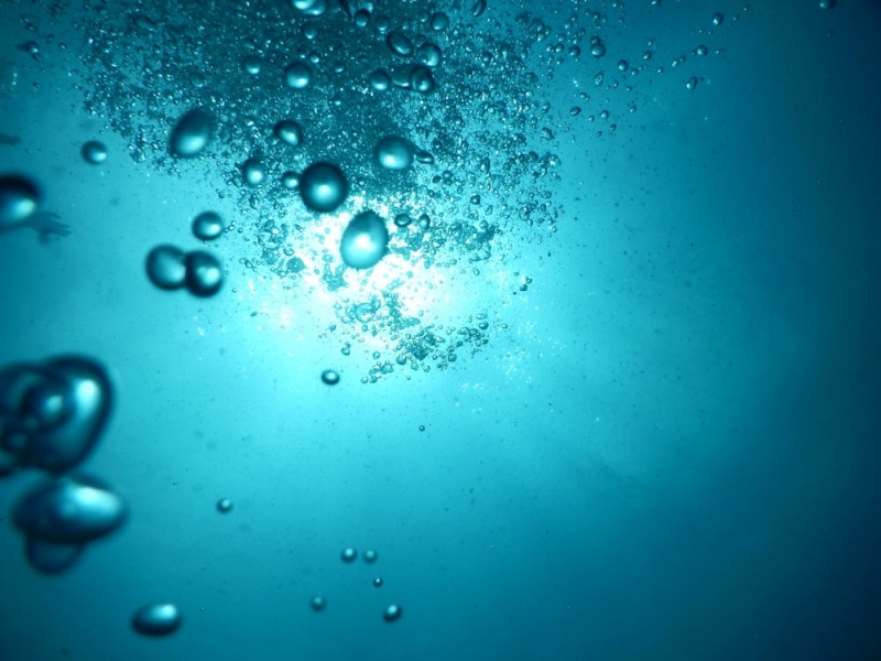 水产养殖氨氮过高的原因？（怎样降低水塘氨氮含量）